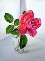 Available Art Works - Pink Rose - Watercolor